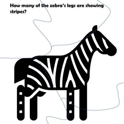 zoo-adventure-zebra